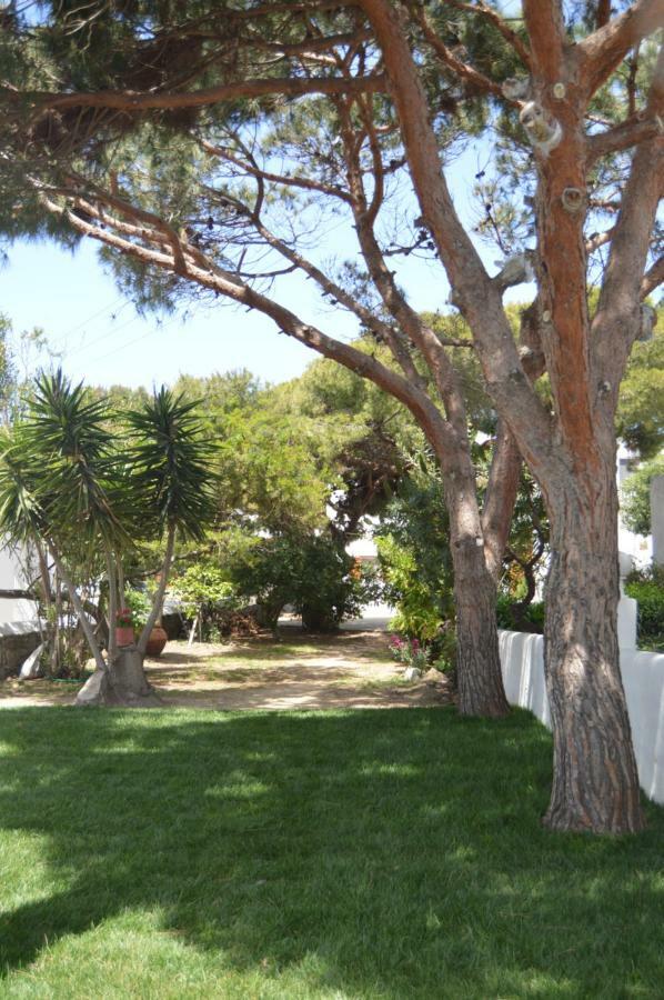 Secret Garden Apartments Mykonos Town Exterior foto